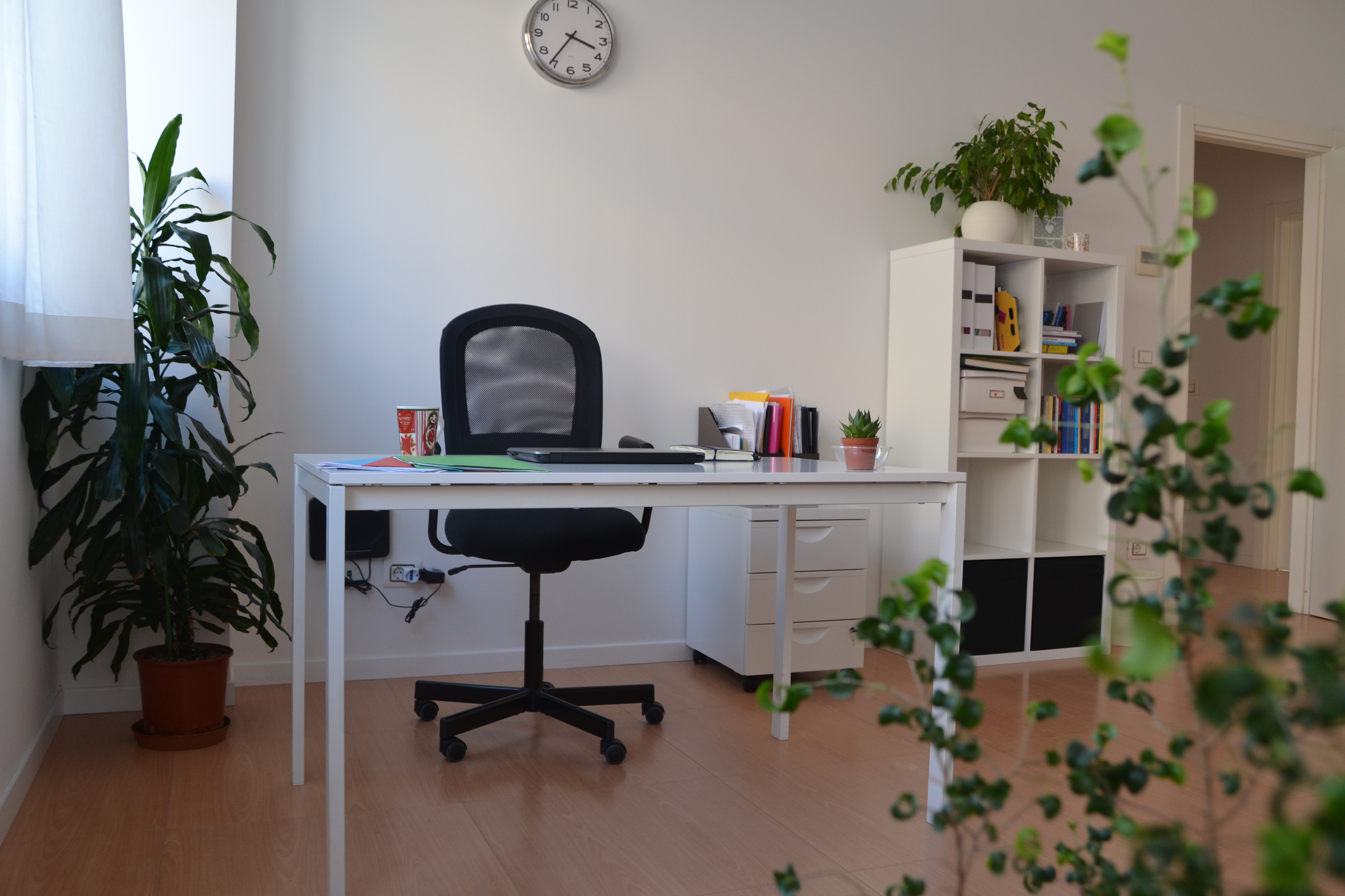 singolo con piante.JPG